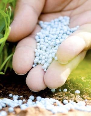 Governo disponibiliza 90 mil toneladas de fertilizantes para impulsionar campanha agrícola