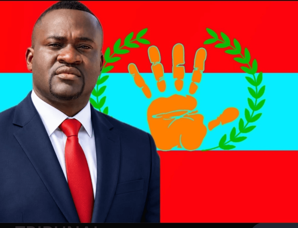 Alternância democrática do poder é apontada por Jovete Domingos como caminho para enfrentar problemas sociais em Angola