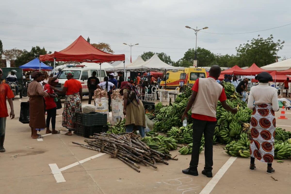Expo-Bengo 2026: Governo promete reduzir perdas agrícolas e facilitar acesso aos mercados